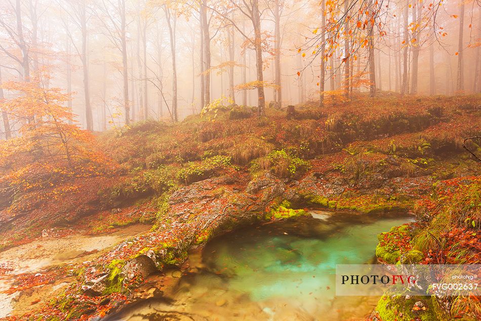 Valley Arzino in autumn