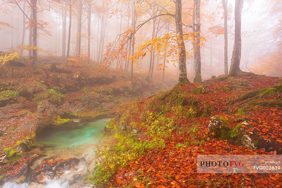 Valley Arzino in autumn