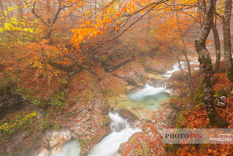 Valley Arzino in autumn