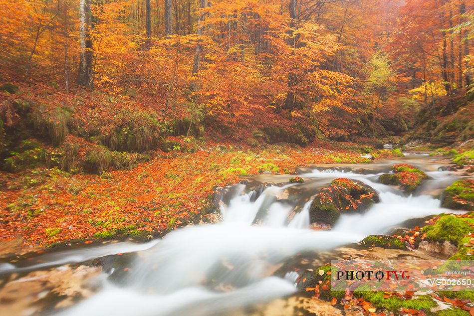 Valley Arzino in autumn