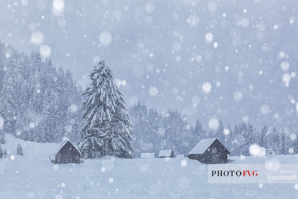 Winter in Sappada