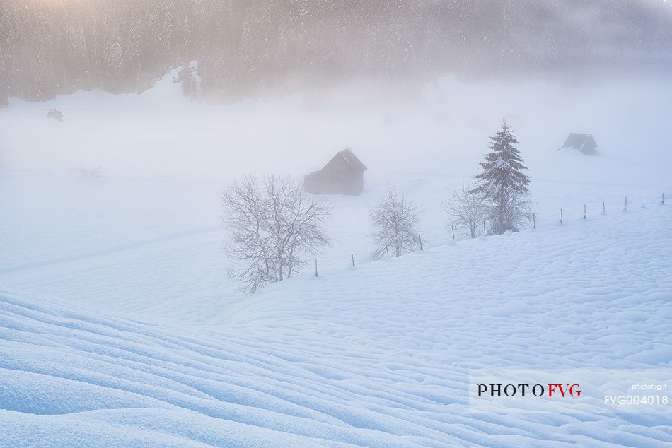 Winter in Sappada