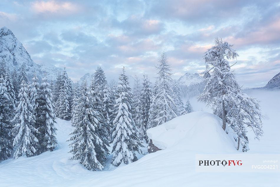 Winter sunrise in Sappada