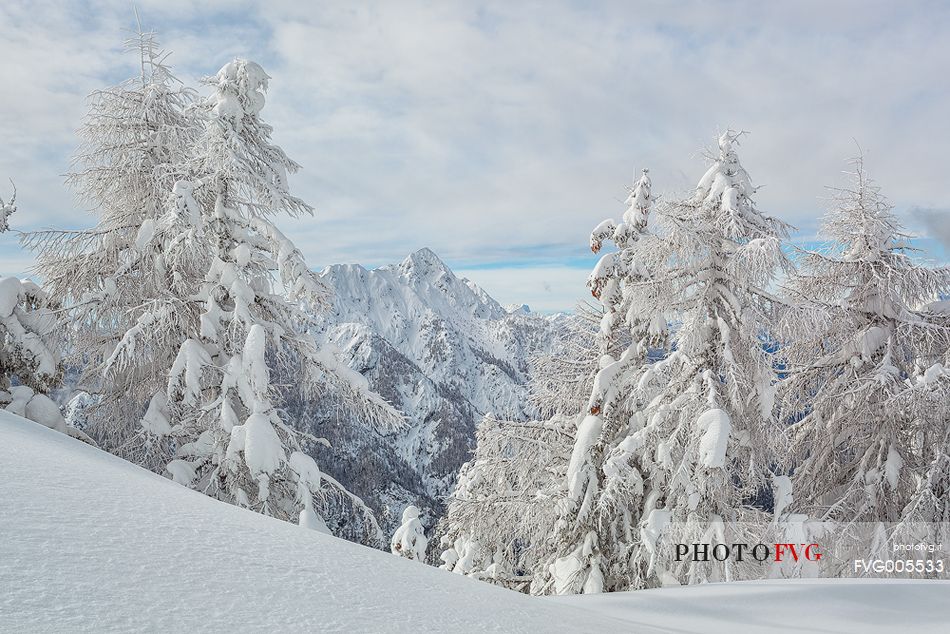 Julian Alps, Jof di Miezegnot from Mount Lussari