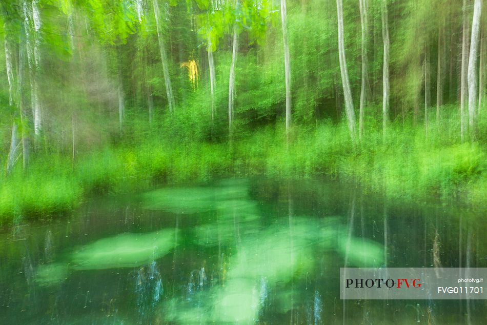 Blue Springs of Saula  are freshwater springs 