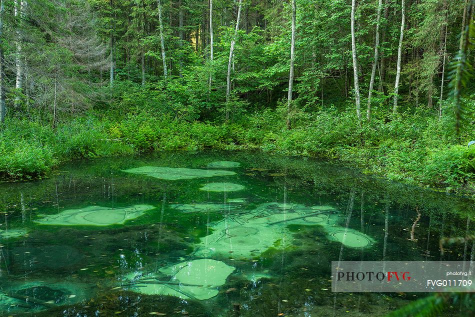 Blue Springs of Saula  are freshwater springs 