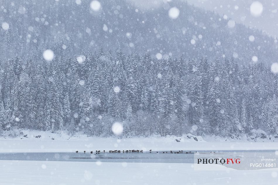 Lake Fusine in winter time