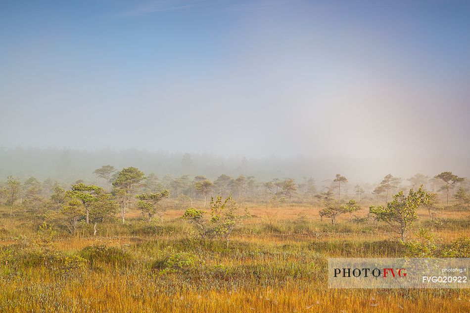 Endla Nature Reserve is a nature reserve situated in central Estonia. The Endla nature reserve protects a fresh-water system of mires, bogs, springs and rivulets, Jgeva county, Estonia