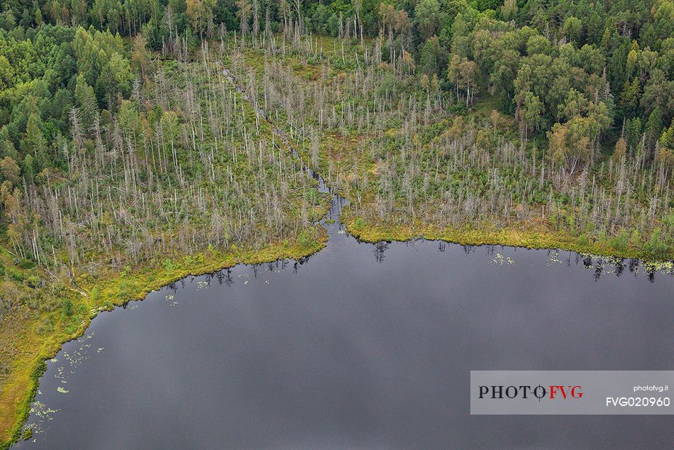 Aereal view of the Puname lake, Paunkla Nature Park, Estonia
