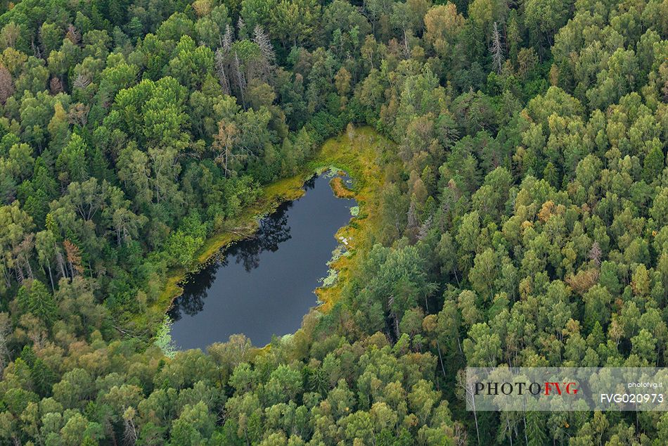 Aereal view to the Linajrv lake, Paunkla Nature Park
