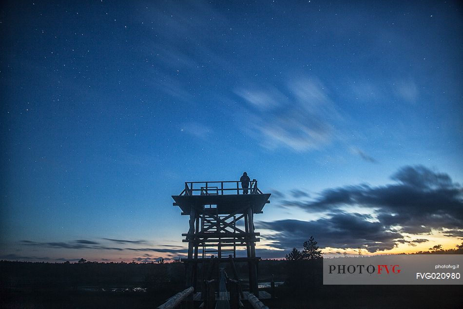 Tourist at dusk over Endla bog, Endla Nature Reserve, Estonia