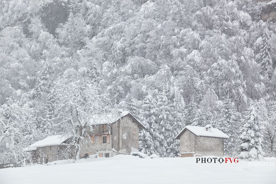 Winter landscape of Sant'Osvaldo pass in the Dolomites Friulane Natural Park, Unesco World Heritage, Italy