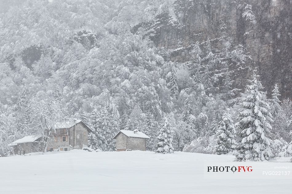 Winter landscape of Sant'Osvaldo pass in the Dolomites Friulane Natural Park, Unesco World Heritage, Italy