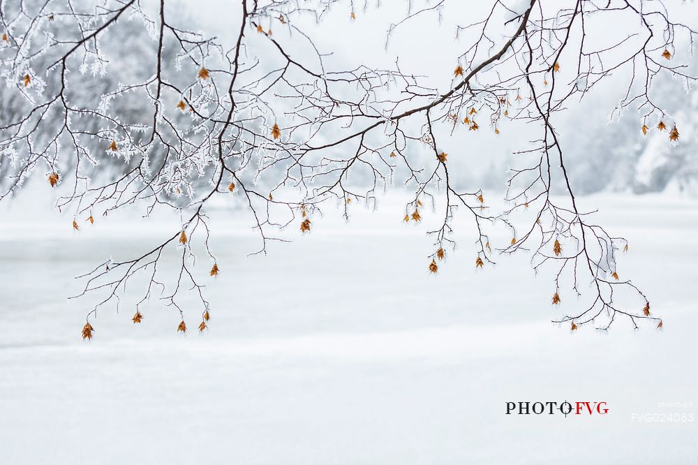 Winter landscape of Plitvice lakes National Park, Croatia