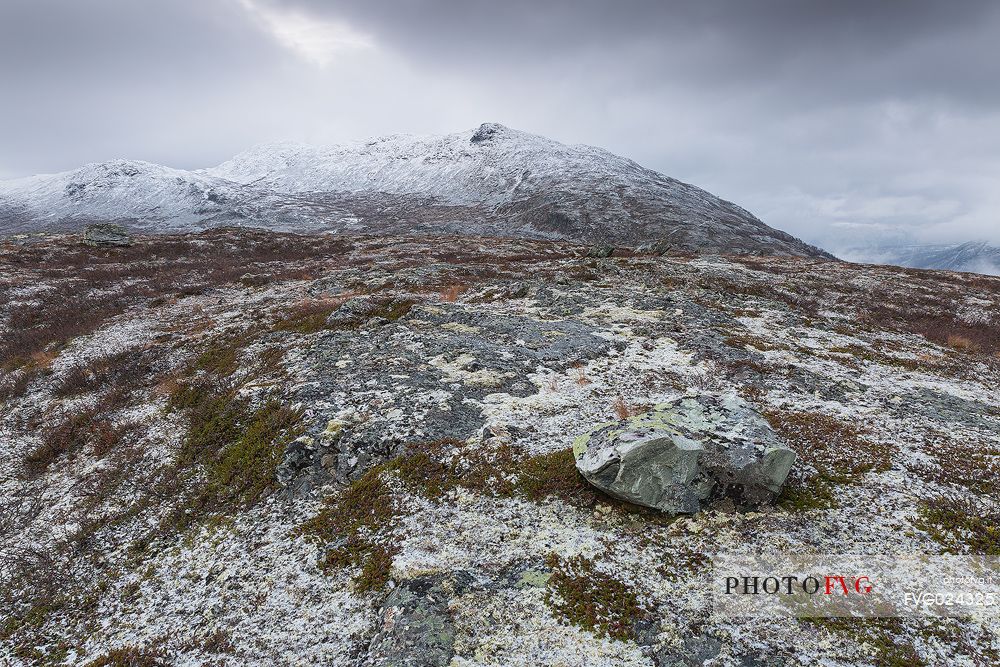 Scandinavian alps, Hydalen Nature Reserve, forward Hydalsberget mountain, Norway
