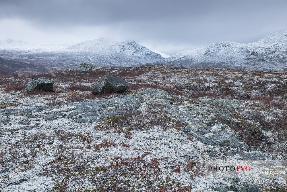 Scandinavian alps, Hydalen Nature Reserve, forward Hydalsberget mountain, Norway