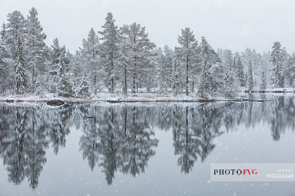 Randsfjorden lake under the first autumn snowfall, Norway
