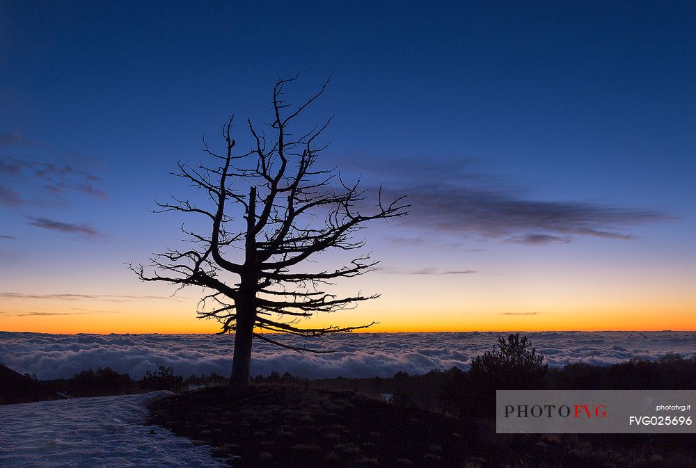 Nightfall from Sartorius mountains, mount Etna natural park, Sicily, Italy