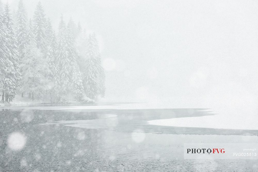 Fusine lake under the snowfall, Tarvisio, Italy