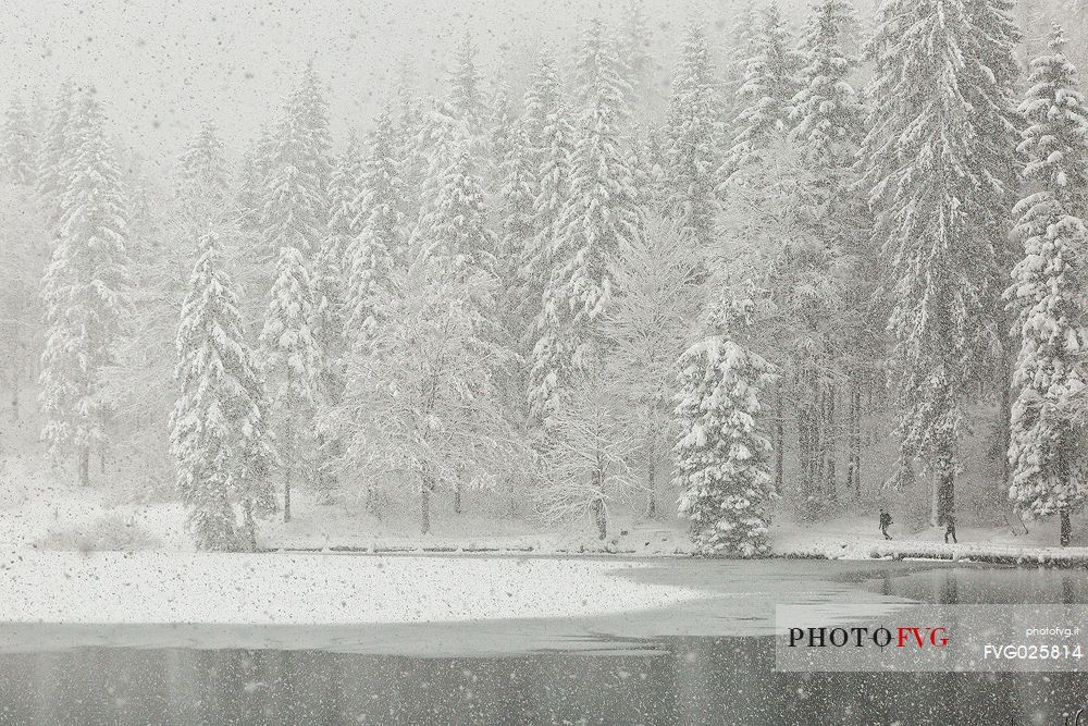 Fusine lake under the snowfall, Tarvisio, Friuli Venezia Giula, Italy