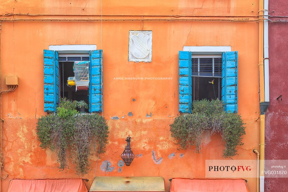 In Burano village every house is painted different color, Venice, Italy