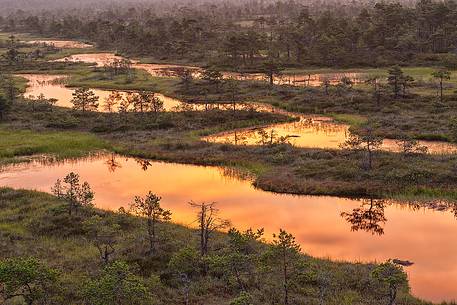 Endla bog is a nature reserve in central estonia