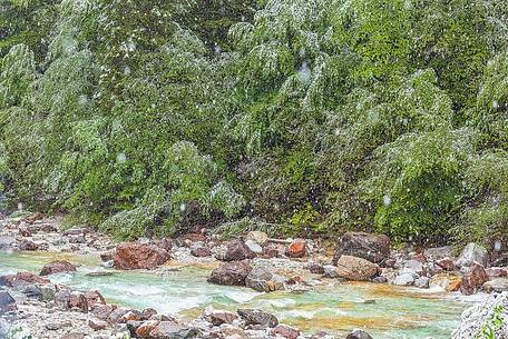 near Tarvisio under the snow spring time