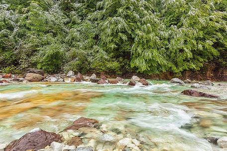 near Tarvisio under the snow spring time