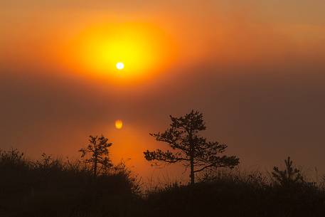 Foggy summer sunrise in Kakerdaja bog
