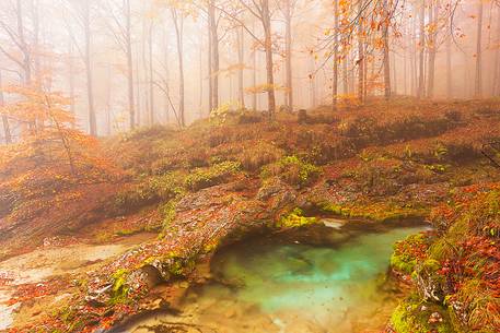 Valley Arzino in autumn