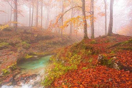 Valley Arzino in autumn
