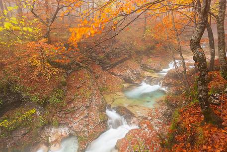 Valley Arzino in autumn