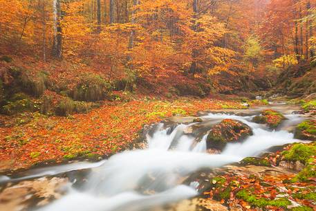 Valley Arzino in autumn