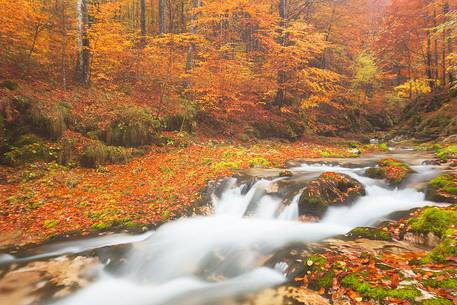 Valley Arzino in autumn