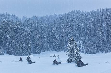 Winter in Sappada