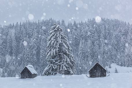 Winter in Sappada