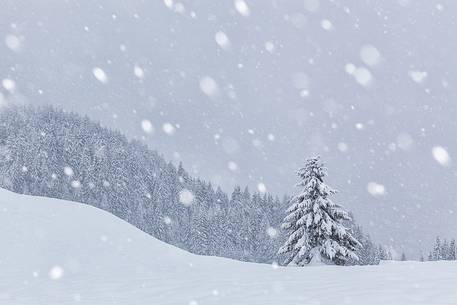 Winter in Sappada