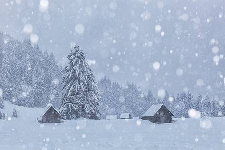 Winter in Sappada