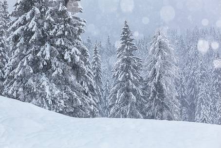 Winter in Sappada