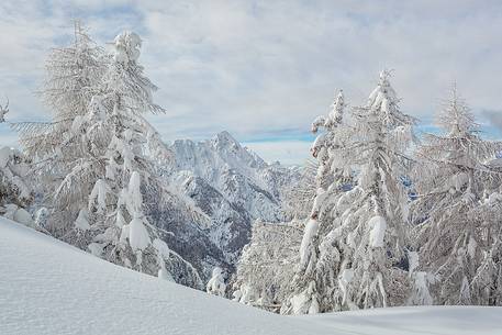 Julian Alps, Jof di Miezegnot from Mount Lussari
