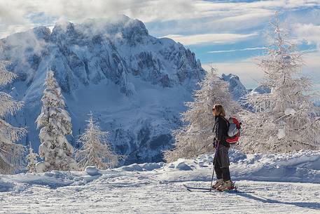 Julian Alps, the path that crosses the slopes of Mount Prasnig