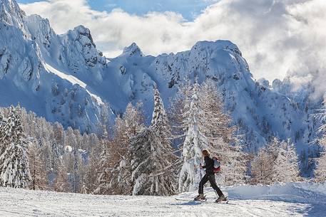 Julian Alps, the path that crosses the slopes of Mount Prasnig