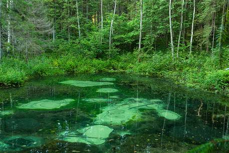 Blue Springs of Saula  are freshwater springs 