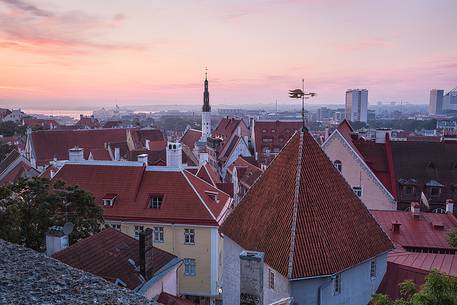 sunrise on Tallinn old town, summer 