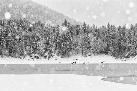 Lake Fusine in winter time