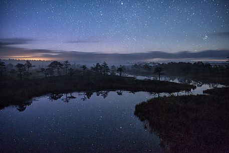 Mnnikjrve bog at night time, Endla Nature Reserve, Estonia