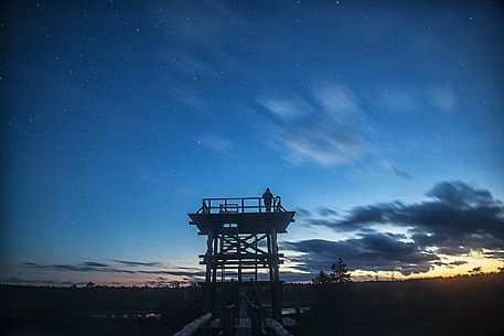 Tourist at dusk over Endla bog, Endla Nature Reserve, Estonia