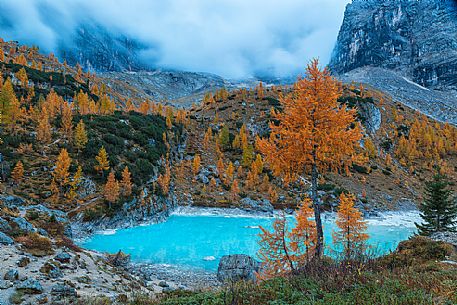 The magic light blue of Sorapis glacial Lake in autumn sorrounded by pine and yellow larches, Cortina d'Ampezzo, dolomites, Italy