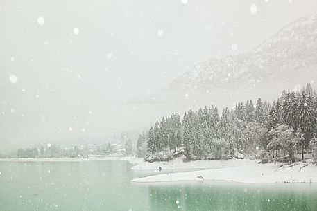 Winter landscape of Barcis and the lake, Dolomiti Friulane Natural Park, Unesco World Heritage, Italy