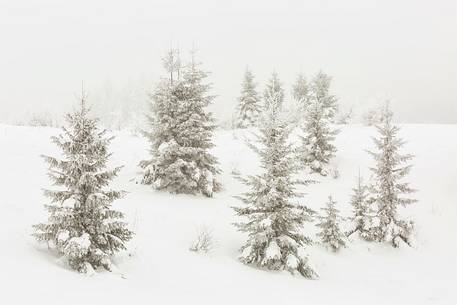 Winter landscape of Plitvice lakes National Park, Croatia